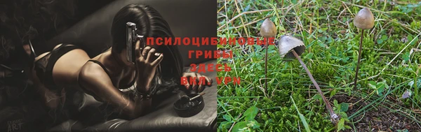 бутират Краснослободск
