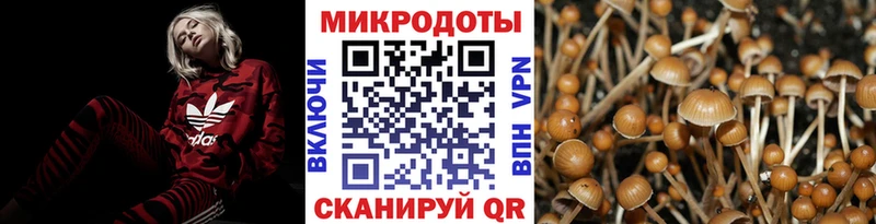 Галлюциногенные грибы мухоморы Новый Оскол